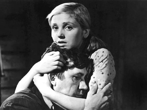 19 декабря показ фильма «Когда деревья были большими»