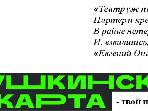 Пушкинская карта действует в Камерном!