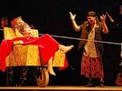                   X Международный театральный фестиваль "Камерата – 2008"